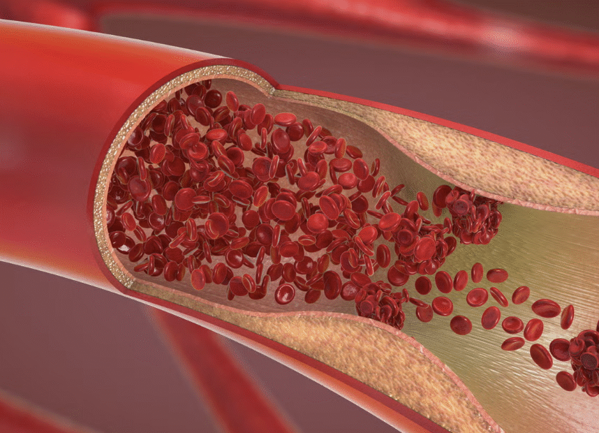 screenshot 2025 09 10 234120